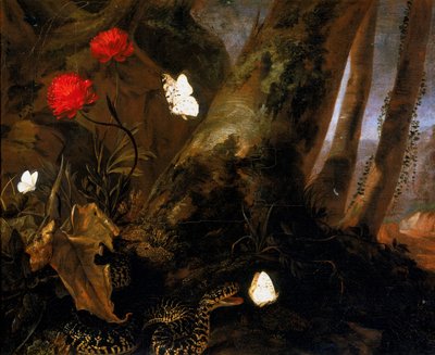 Underbrush with animals by Otto Marseus  van Schrieck